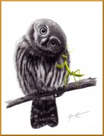 TJ068 - Owl Whisperer